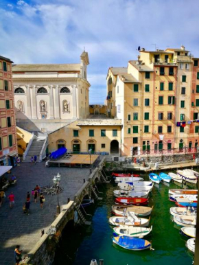 Sguardo sul Porto ( codice CITRA 01007-LT-0314 ) Camogli